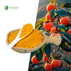 Poudre <span class=keywords><strong>de</strong></span> jus <span class=keywords><strong>de</strong></span> kaki <span class=keywords><strong>de</strong></span> qualité alimentaire, extrait végétal <span class=keywords><strong>de</strong></span> haute qualité, poudre <span class=keywords><strong>de</strong></span> kaki - Product Image 1