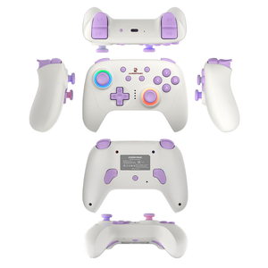 RG-P01 Joystick y Controlador de Juego Inalámbrico Personalizado con Funcionalidad Completa, Diseño de Caja de 3 Colores, Todos los Accesorios, Venta al Por Mayor de Fábrica - Product Image 2