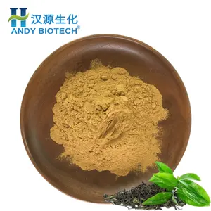 Green Tea Extract Powder Top Quality Pure Natural 40%-98% Tea Polyphenols Green Tea Extract Powder