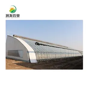 Commerciële Chinese Passieve Solar Kasdek Uv Plastic Film Kassen Levert