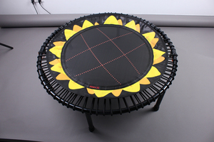 Cho cười vui vẻ trong nhà <span class=keywords><strong>Trampoline</strong></span> Mini rebounder với khuôn mặt tươi cười cho trẻ em & người lớn cho bé trai & bé gái - Product Image 3
