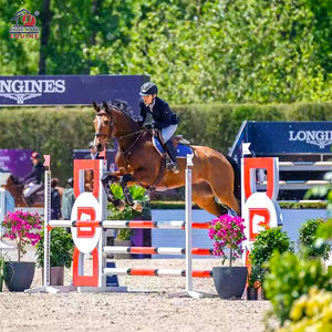 Ensemble d'obstacles <span class=keywords><strong>de</strong></span> saut pour chevaux portables pour les arènes intérieures et extérieures, pour la <span class=keywords><strong>pratique</strong></span> du saut d'obstacles - Product Image 4