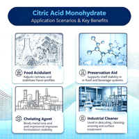 Acide citrique hydraté de qualité industrielle en poudre, additif alimentaire, acide organique, acide carboxylique, CAS 5949-29-1, pureté 98%, poids moléculaire