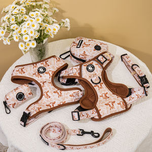 ペットリーシュ小型犬用ハーネスカスタムデザインペットカラーリーシュドッグハーネスとリードセットペット製品 - Product Image 4