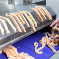 Nouvelle machine automatique de bande de coupe de trancheuse de viande de porc pour l'état d'équipement de boucherie de restaurant de viande séchée nouveau