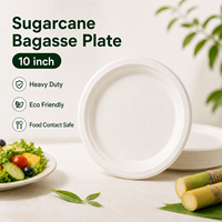 Assiettes de fête fantaisie jetables en bagasse de canne à sucre de 10 pouces, biodégradables, compostables, écologiques, blanches, vente en gros