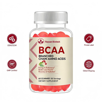 Gummies BCAA OEM 1000mg – Complément d'acides aminés à chaîne ramifiée (60 unités) pour la récupération musculaire et le soutien de l'endurance