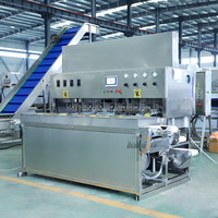 Xinlongjia Nieuw Ontwerp Ananas Mango Groente Fruitsnijder Snijmachine Snijmachine Snijmachine