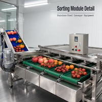 Datumsorteermachine voor hygiënische voedselverwerking, modulaire transportbandopstelling en commerciële verpakkingsapplicaties