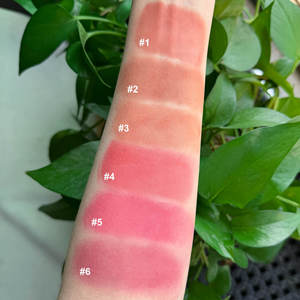 บลัชออนเนื้อลิควิดสีชัดติดทนนานกันน้ำ 6 สี พร้อมโลโก้สั่งทำ บลัชออนเนื้อครีม คอนทัวร์ ลิปกลอส แบรนด์ส่วนตัว - Product Image 5
