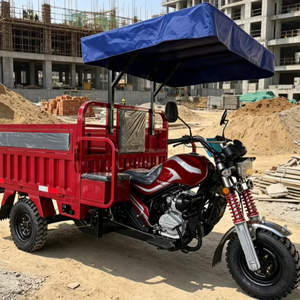 Promotion 2026 : <span class=keywords><strong>Moto</strong></span>-tricycle utilitaire à essence 3 roues avec capacité de charge de 400 kg - Product Image 1