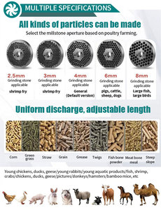 Thân thiện với môi trường 1ton/h Máy làm viên cho thức ăn chăn nuôi mới pelet Máy động vật Thức ăn viên sử dụng nhà - Product Image 4