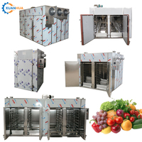 Solar Infrarood Fruit Droger/Elektrische Fruit Droger