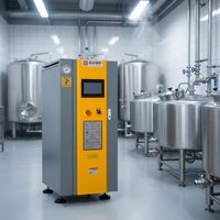 Chaudière à vapeur électrique 100 kg, générateur de vapeur de qualité alimentaire 72 kW pour la fabrication de produits laitiers et de fromages 95 ℃   Pasteurisation du lait certifiée CE