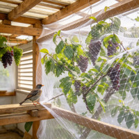 Filet anti-vent sur mesure pour la protection contre la grêle des vignobles, vergers, arbustes à baies, étangs à poissons et cerisiers