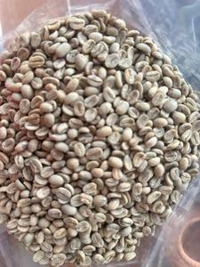 กาแฟอาราบิก้าดิบคุณภาพเยี่ยมจากแหล่งปลูกที่มีระดับความสูงเหมาะสมและรสชาติเข้มข้น เหมาะสำหรับการคั่วเชิงพาณิชย์ - Product Image 2