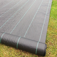 Toile de paillage anti-herbe en HDPE noir et vert de haute qualité, moulée par soufflage, avec service de découpe pour projets d'aménagement paysager et parterres de fleurs