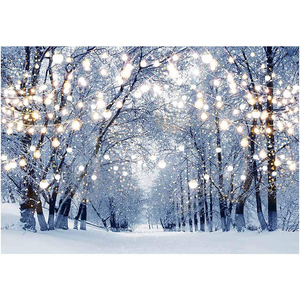 Winter Wonderland <span class=keywords><strong>Neige</strong></span> Forêt <span class=keywords><strong>Montagne</strong></span> Paysage Naturel Toile de <span class=keywords><strong>fond</strong></span> Enfant Adulte Portrait Photographie <span class=keywords><strong>Fond</strong></span> Studio Photo - Product Image 1