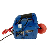 Petit palan électrique de 50kg, prix d'usine