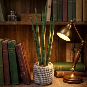 Nuovo Design Piante Artificiali in Vaso Miniatura ad Alta Durabilità, Vendita Diretta dalla Fabbrica, <span class=keywords><strong>Bonsai</strong></span> con Foglie Verdi Realistiche per Decorazione Scaffali - Product Image 4