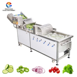 Machine à laver les feuilles de laitue WA-1000 avec ozone, bulles d'air et tambour - Product Image 1