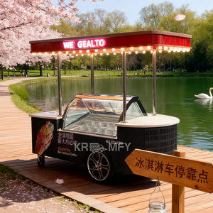 Vitrine à glaces de style nouveau 2025 avec congélateur mobile, chariot à glaces - Product Image 1