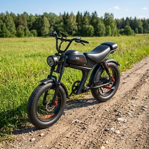 Bicicleta Eléctrica de Neumáticos Anchos de Aluminio con Motor Central de 1000w 48v 20ah, Modelo Fw-93, Potente, Disponible en Almacén en el Extranjero - Product Image 1