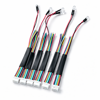 Connecteur personnalisé JST Molex 2.0 PH 2.0 2/3/4/5/6/7/8/9/10 broches, faisceau de câbles avec isolation PVC, assemblage de câbles électroniques