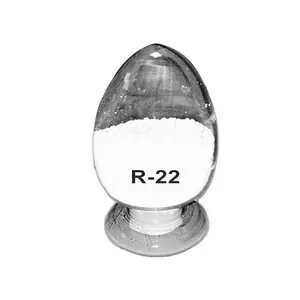 R-22 Titanium Dioksida Berkualitas Tinggi untuk Pelapis Tio2 Titanium Dioksida Rutil