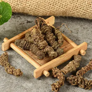 Raíz <span class=keywords><strong>de</strong></span> <span class=keywords><strong>valeriana</strong></span> china <span class=keywords><strong>de</strong></span> alta calidad, raíz <span class=keywords><strong>de</strong></span> <span class=keywords><strong>valeriana</strong></span> al por mayor al mejor <span class=keywords><strong>precio</strong></span> - Product Image 3