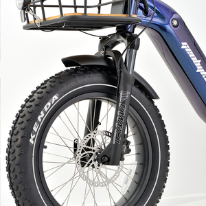 GEOBYKE Tricycle électrique à moteur central haute performance 250w, <span class=keywords><strong>3</strong></span> roues, vélo cargo électrique avec <span class=keywords><strong>Shimano</strong></span> <span class=keywords><strong>Nexus</strong></span> 7 <span class=keywords><strong>vitesses</strong></span> - Product Image 6