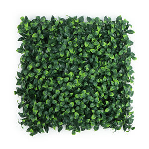 Panneaux muraux de <span class=keywords><strong>haie</strong></span> de buis artificiels 50*50cm Eco PE-Fausse <span class=keywords><strong>haie</strong></span> verte pour une intimité instantanée - Product Image 1