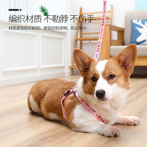 Arnés para Mascotas con Correa para Pecho y Espalda, Resistente, para Perros Pequeños y Gatos, en Naranja, Rojo, Azul, Negro, Rosa, Verde, Morado, Café y Azul Cielo - Product Image 2