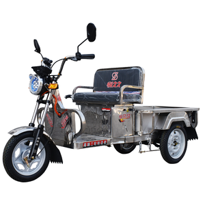 Tricycle électrique 1M de haute qualité 1000W Power Cargo Trike corps ouvert pour adultes 400kg capacité de charge utile Tricycle électrique électrique - Product Image 2