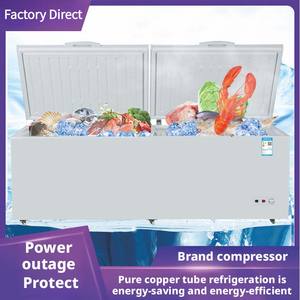 Congélateur Commercial Rapide à Double Porte Vitrée pour Poisson et Crème Glacée, Réfrigérateur et Congélateur pour la Maison - Offre Spéciale - Product Image 4