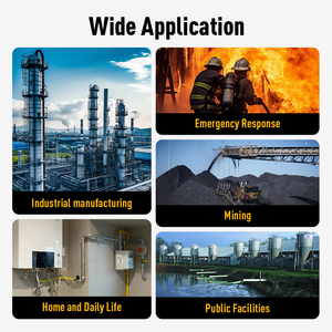 เครื่องตรวจจับก๊าซแบบพกพา Bosean รุ่น PH3 เครื่องวิเคราะห์ก๊าซหลายชนิด เครื่องตรวจจับก๊าซ Co2 และ H2s ผลิตภัณฑ์จากโรงงาน - Product Image 4