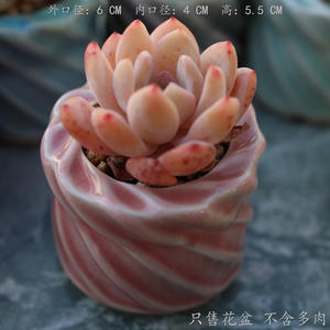 Nouveaux pots en céramique effet glace craquelée pour plantes succulentes, mini-contenants minimalistes, respirants, frais et mignons pour les plantes vertes et les <span class=keywords><strong>lithops</strong></span> - Product Image 3