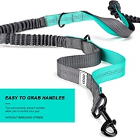 Nouvelle ceinture multifonctionnelle en nylon pour l'entraînement des animaux de compagnie en extérieur, idéale pour la course et la promenade des chiens