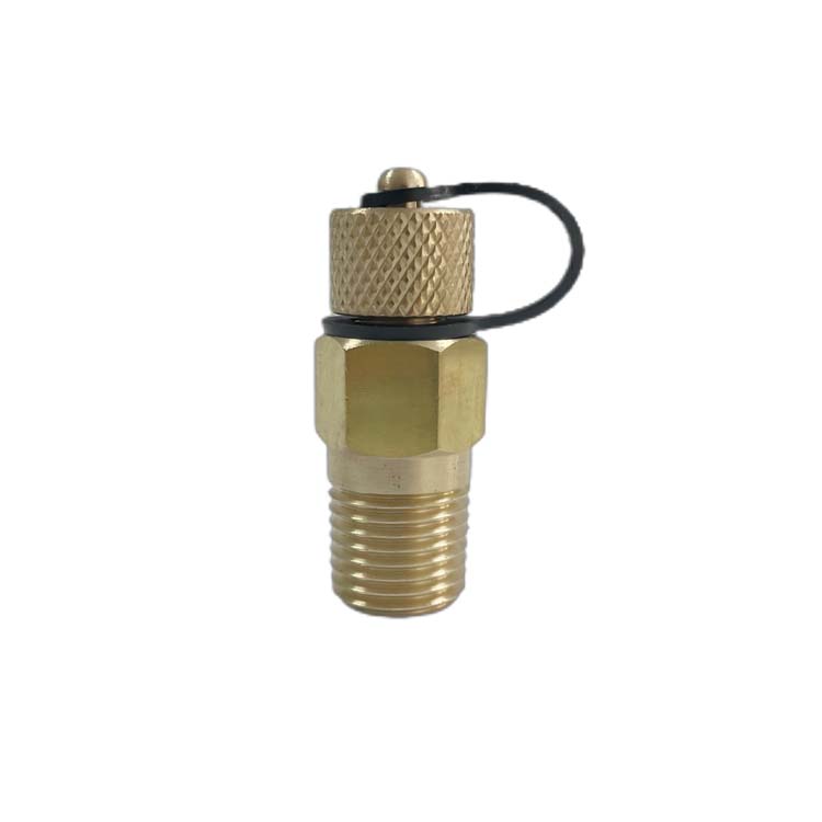 1/4 In. NPT BSPT Brass Test Plug with Knurled Cap
