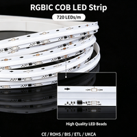 Bande LED COB RVBIC Numérique Adressable en Gros, 720 LED, Couleurs Complètes, 24V, 10mm, pour Projets d'Affichage Dynamique de Contours de Bâtiments et de Repères