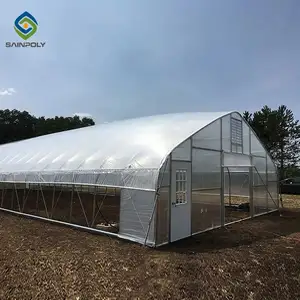 Самая дешевая мини-туннель для сельского хозяйства с одним промежутком, туннель с зеленым домом, пластиковая пленка, для строительства томатных теплиц