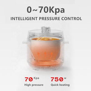 <span class=keywords><strong>Olla</strong></span> Arrocera <span class=keywords><strong>Programable</strong></span> con Certificación CE y CB, Electrodomésticos para el Hogar, <span class=keywords><strong>Olla</strong></span> Arrocera Eléctrica de Doble <span class=keywords><strong>Olla</strong></span> Interior de 3L para Cocinar en Casa. - Product Image 6