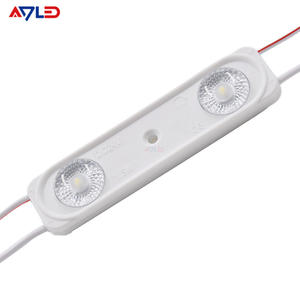 Módulo LED de Inyección SMD2835 de 2 Lámparas, DC12V, Blanco, 1.5 Vatios, 6500K, Iluminación Decorativa Trasera, Módulo LED IP67 para Letreros Publicitarios - Product Image 1