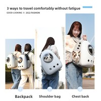 Sac à dos transparent pour animaux de compagnie, sac de transport respirant pour petits chats, chiots Teddy, idéal pour les voyages en plein air