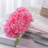 Pasokan langsung pabrik bola Anna bunga abadi Anna yang diawetkan bunga Hydrangea