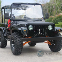 Dune Buggy 4x4 homologué pour la route, essence, 300cc, 200cc, 350cc, 250cc, 4 places, mini jeep, buggy de golf électrique, mini jeep haute vitesse