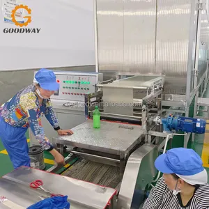 Automatische Zellophannudeln Stärke-Vermicelli-Verarbeitungsmaschine Glasnudeln Produktion