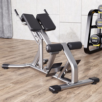 Chaise romaine commerciale réglable pour l'hyperextension, banc d'entraînement pour le renforcement des fessiers et du tronc, équipement de fitness pour la maison