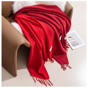 Bufanda de Cachemira Sintética Color Maillard 2026 al por Mayor para Mujer, Chal Grueso y Cálido de Lujo Estilo Coreano, Directo de Fábrica - Product Image 5