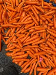 Zanahoria fresca de Vietnam dulce orgánica de alta calidad con alta vitamina para el procesamiento de alimentos y bebidas de exportación - Product Image 6